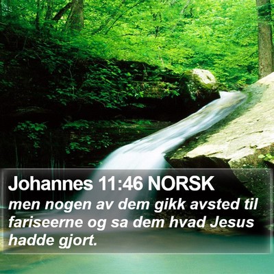 Johannes 11:46 NORSK Bible Verse Image