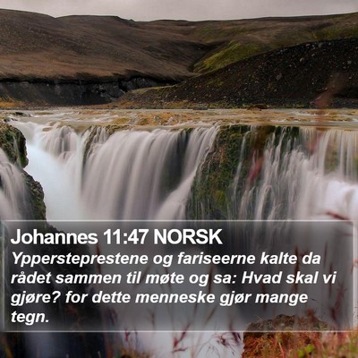 Johannes 11:47 NORSK Bible Verse Image