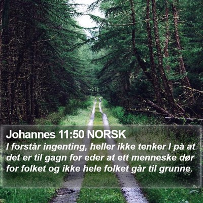 Johannes 11:50 NORSK Bible Verse Image