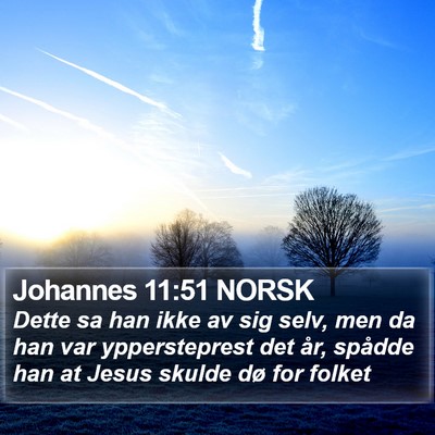 Johannes 11:51 NORSK Bible Verse Image