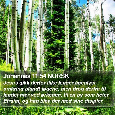 Johannes 11:54 NORSK Bible Verse Image