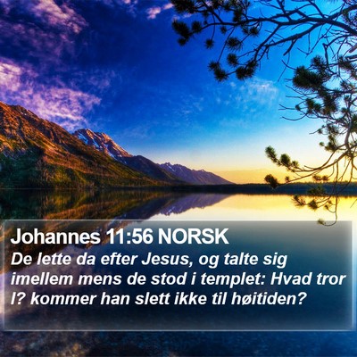 Johannes 11:56 NORSK Bible Verse Image