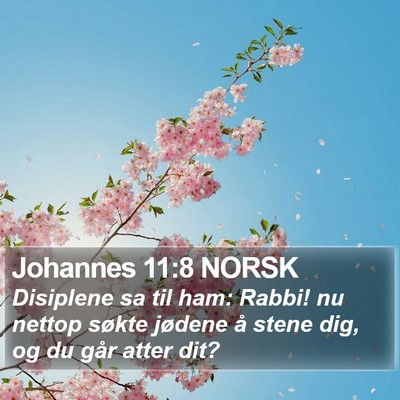 Johannes 11:8 NORSK Bible Verse Image