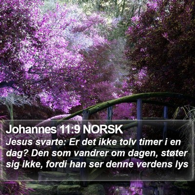 Johannes 11:9 NORSK Bible Verse Image