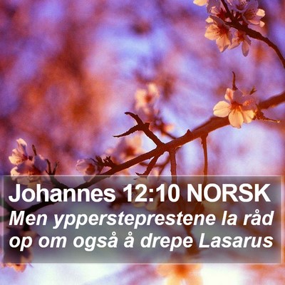 Johannes 12:10 NORSK Bible Verse Image