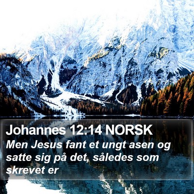 Johannes 12:14 NORSK Bible Verse Image