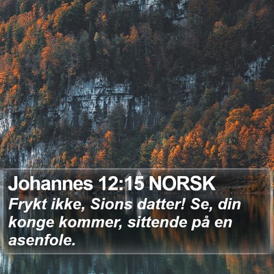 Johannes 12:15 NORSK Bible Verse Image