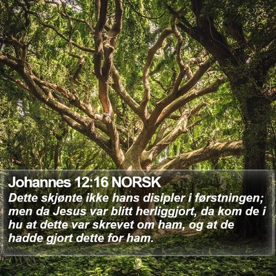 Johannes 12:16 NORSK Bible Verse Image
