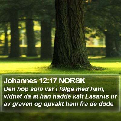 Johannes 12:17 NORSK Bible Verse Image