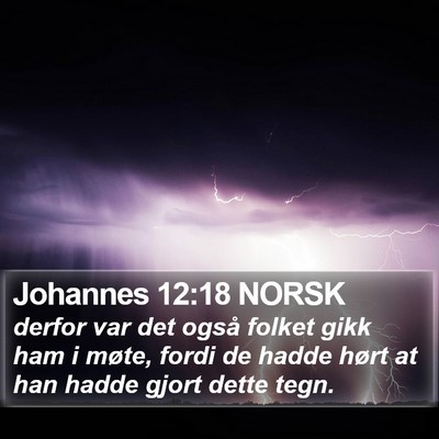 Johannes 12:18 NORSK Bible Verse Image