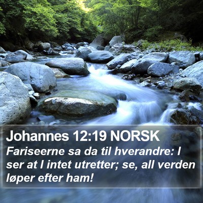 Johannes 12:19 NORSK Bible Verse Image
