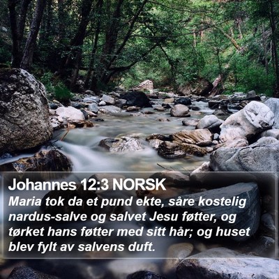 Johannes 12:3 NORSK Bible Verse Image
