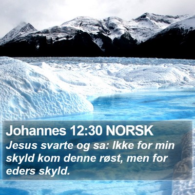 Johannes 12:30 NORSK Bible Verse Image