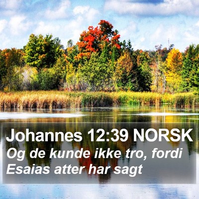 Johannes 12:39 NORSK Bible Verse Image