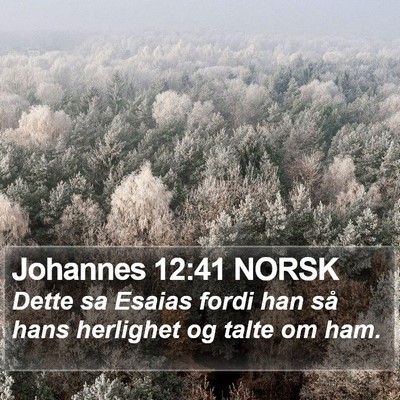 Johannes 12:41 NORSK Bible Verse Image