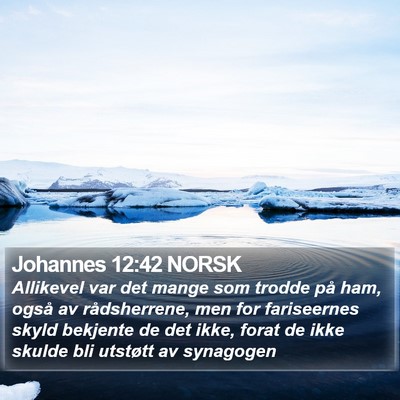 Johannes 12:42 NORSK Bible Verse Image