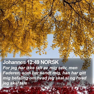 Johannes 12:49 NORSK Bible Verse Image