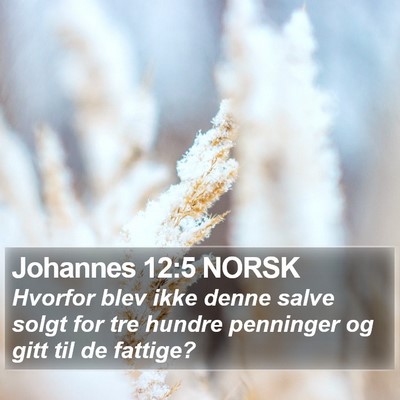 Johannes 12:5 NORSK Bible Verse Image