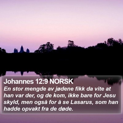 Johannes 12:9 NORSK Bible Verse Image