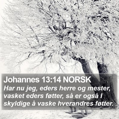 Johannes 13:14 NORSK Bible Verse Image