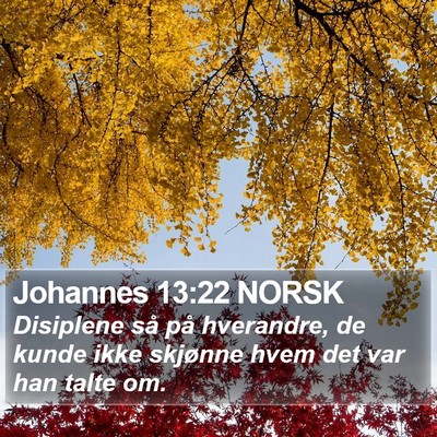 Johannes 13:22 NORSK Bible Verse Image