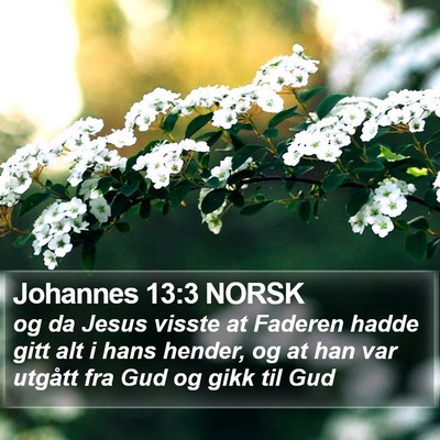 Johannes 13:3 NORSK Bible Verse Image