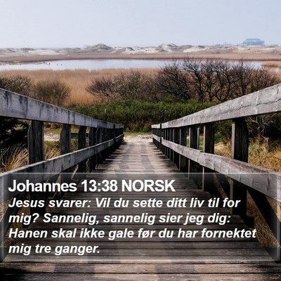 Johannes 13:38 NORSK Bible Verse Image
