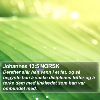 Johannes 13:5 NORSK Bible Verse Image