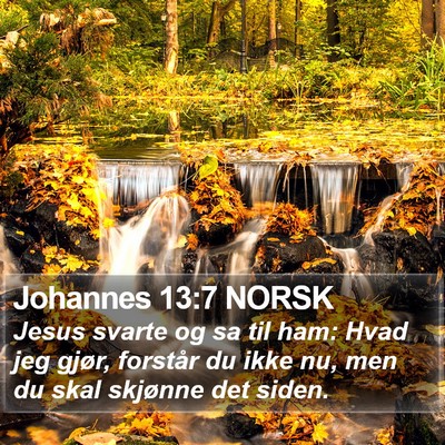 Johannes 13:7 NORSK Bible Verse Image