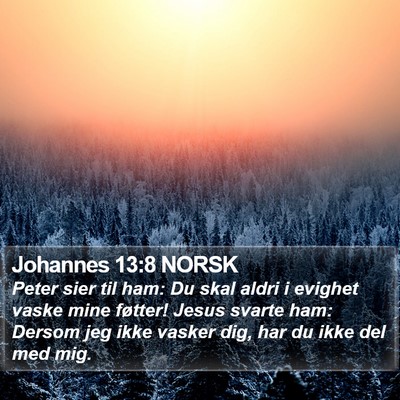Johannes 13:8 NORSK Bible Verse Image