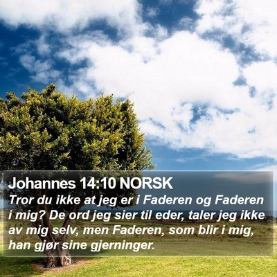 Johannes 14:10 NORSK Bible Verse Image