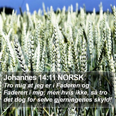 Johannes 14:11 NORSK Bible Verse Image