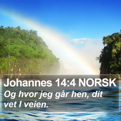 Johannes 14:4 NORSK Bible Verse Image