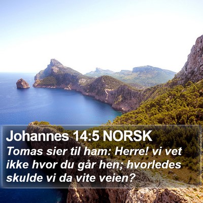 Johannes 14:5 NORSK Bible Verse Image