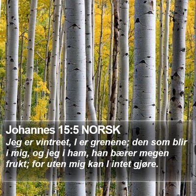 Johannes 15:5 NORSK Bible Verse Image