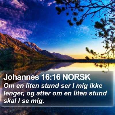 Johannes 16:16 NORSK Bible Verse Image