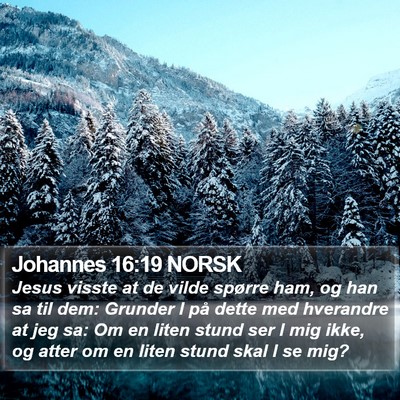 Johannes 16:19 NORSK Bible Verse Image