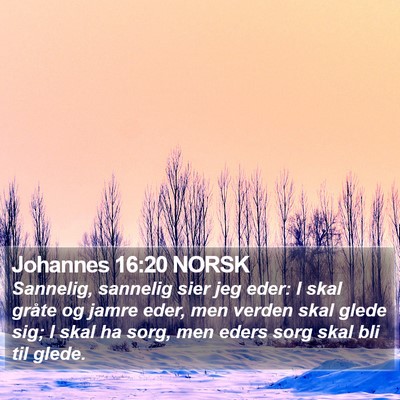 Johannes 16:20 NORSK Bible Verse Image