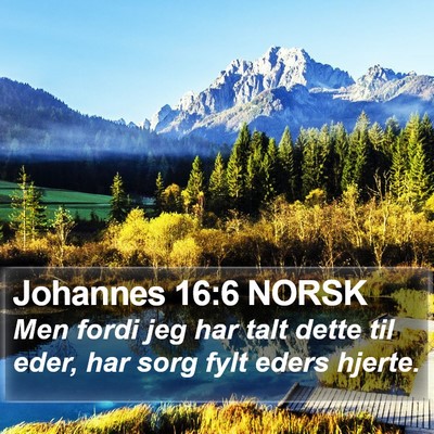 Johannes 16:6 NORSK Bible Verse Image