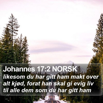 Johannes 17:2 NORSK Bible Verse Image