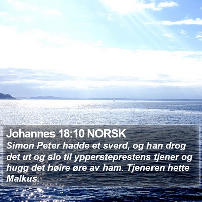 Johannes 18:10 NORSK Bible Verse Image