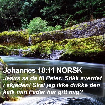 Johannes 18:11 NORSK Bible Verse Image