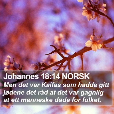 Johannes 18:14 NORSK Bible Verse Image