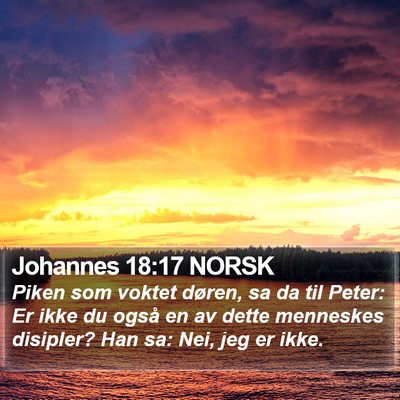 Johannes 18:17 NORSK Bible Verse Image