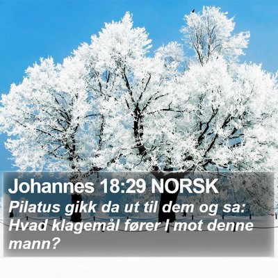 Johannes 18:29 NORSK Bible Verse Image