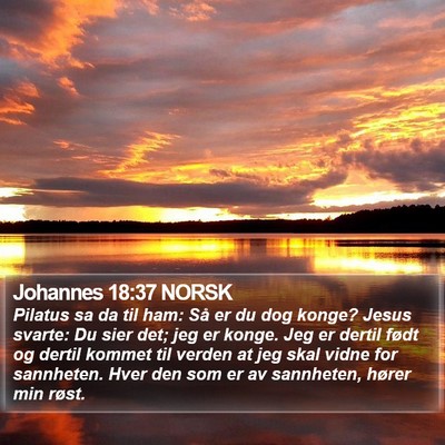 Johannes 18:37 NORSK Bible Verse Image