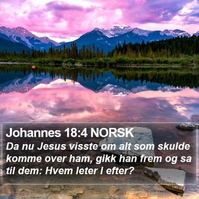 Johannes 18:4 NORSK Bible Verse Image