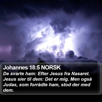 Johannes 18:5 NORSK Bible Verse Image