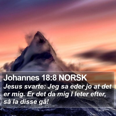 Johannes 18:8 NORSK Bible Verse Image