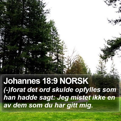 Johannes 18:9 NORSK Bible Verse Image